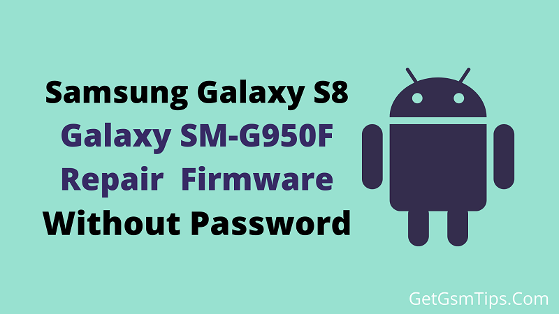 Samsung Galaxy S8 SM-G950F Binary 11